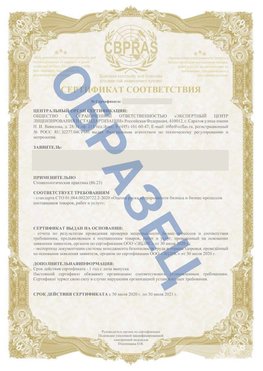 Образец Сертификат СТО 01.064.00220722.2-2020 Печора Сертификат СТО 01.064.00220722.2-2020 